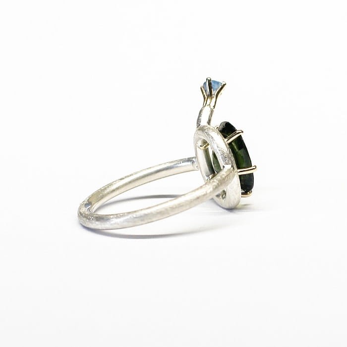 satellite ring 4.jpg