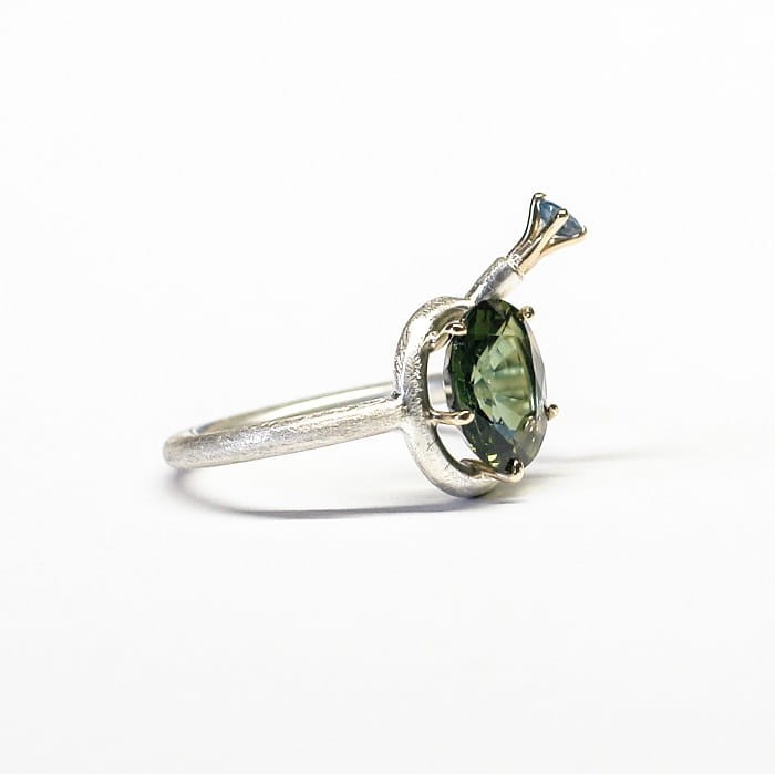 satellite ring 1.jpg